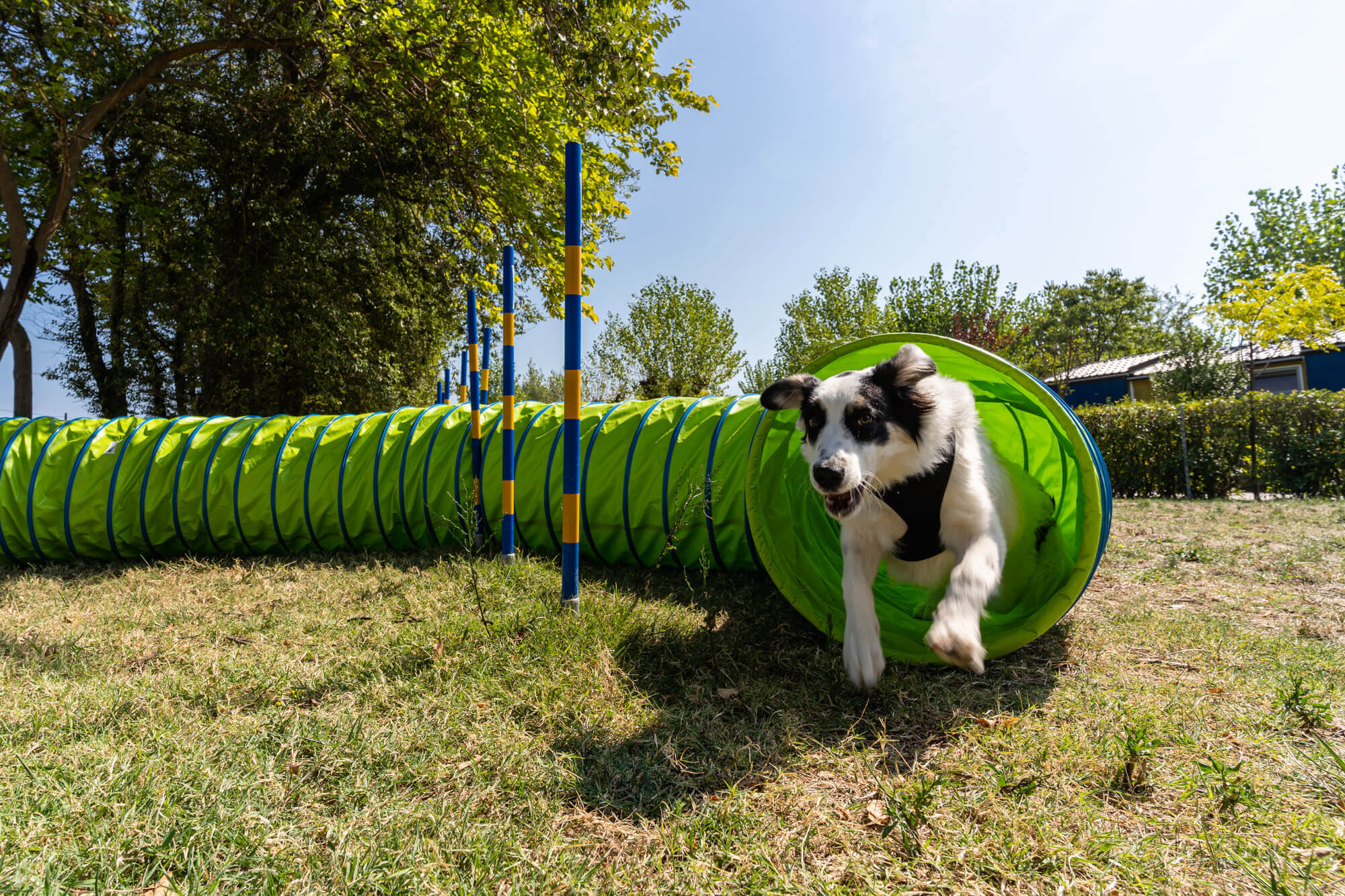 La Risacca Family Camping Village