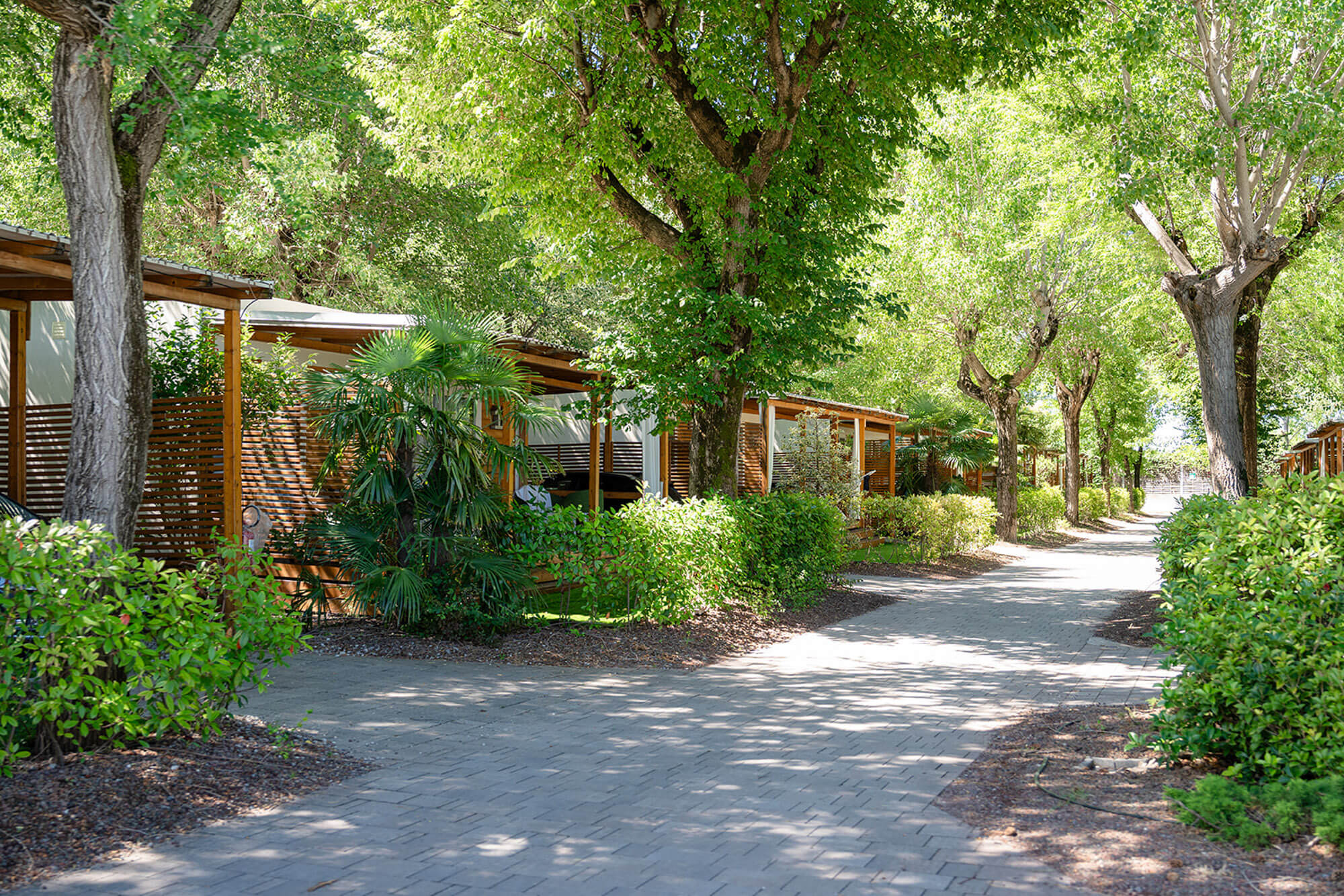 Tenuta Primero Resort